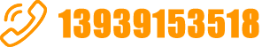 0391-3299600